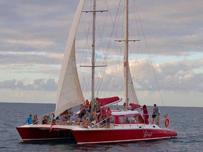 Used Sail Catamaran for Sale 1979 Spronk 50 